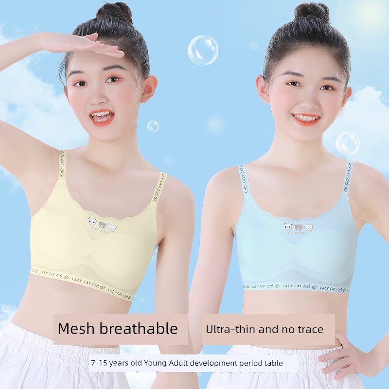 Girls' Underwear Developmental Primary School Student Youth Girl Junior High School Student Vest 12 Years Old Sling Children's Tube Top Young Adult — 2