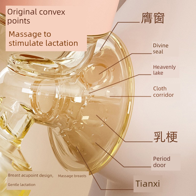 [Same Style with TikTok] Cloth Bichon Electric Breast Pump Breast Milk Smart Massage Portable Integrated Mute Milking — 3