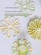 Trees can flower insulating pads silicone pad dining table pad thickened pot pad bowl pad coaster household plate pad anti-scalding pad