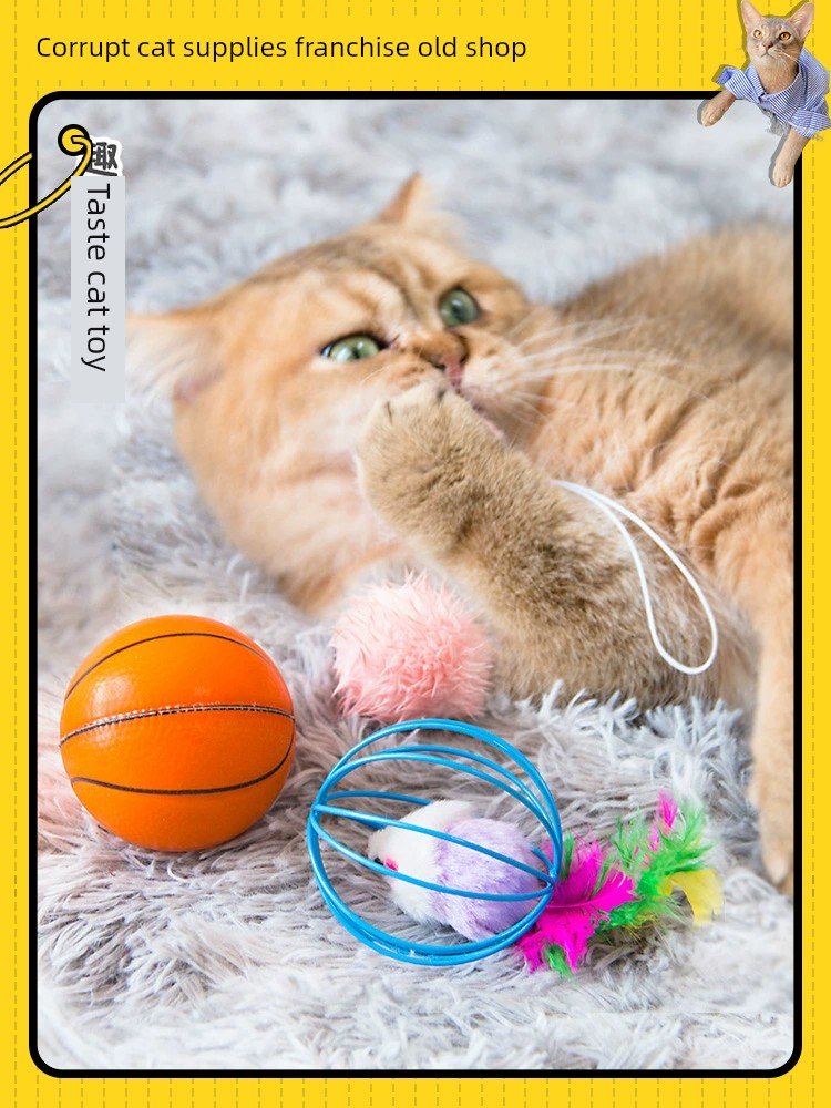 趣味貓球迷你籃球玩具 寵物貓咪玩具貓老鼠籠中鼠球星玩具 (0.4折)