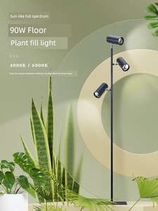 Plant Grow Light Sun-like Succulent Special Coloring Indoor Flower Growing Green Plant Growth Full Spectrum LED Plant La