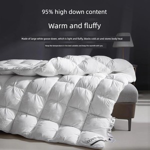 German Duvet 95% White Goose down Winter Quilt Thickened and Warm Hilton Hotel Same Style Double Four-Season Quilt Core