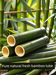 Fresh Bamboo Poles, Bamboo Sticks, Bamboo Tubes for DIY Floral Art Decoration, Kindergarten, Wedding Materials, Creative