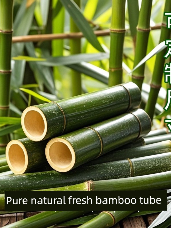 Fresh Bamboo Poles, Bamboo Sticks, Bamboo Tubes for DIY Floral Art Decoration, Kindergarten, Wedding Materials, Creative Ideas