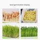 Seed germination box Cuiya box Stainless steel germination germination machine Intelligent lighting incubator Constant temperature germination seedling raising box