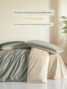 100 Xinjiang Brushed Anti-Mite Cotton Four-Piece Set