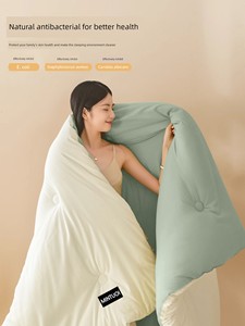 Quilt Core for Single Bed, Air-Conditioned Quilt, Suitable for All Seasons, Spring and Autumn Quilt, Warm Cotton Quilt C