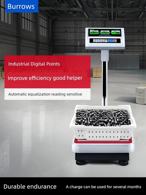 Baillens Industrial Electronic Counting Scale Weight Scale Electronic Platform Scale 100kg 50kg Floor Scale Floor Scale 2025
