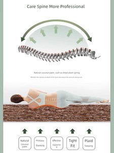 Fuanna Student Dormitory Mattress Single Thin Palm Mattress Children's Hard Mattress Palm Mattress Foldable Coconut Palm