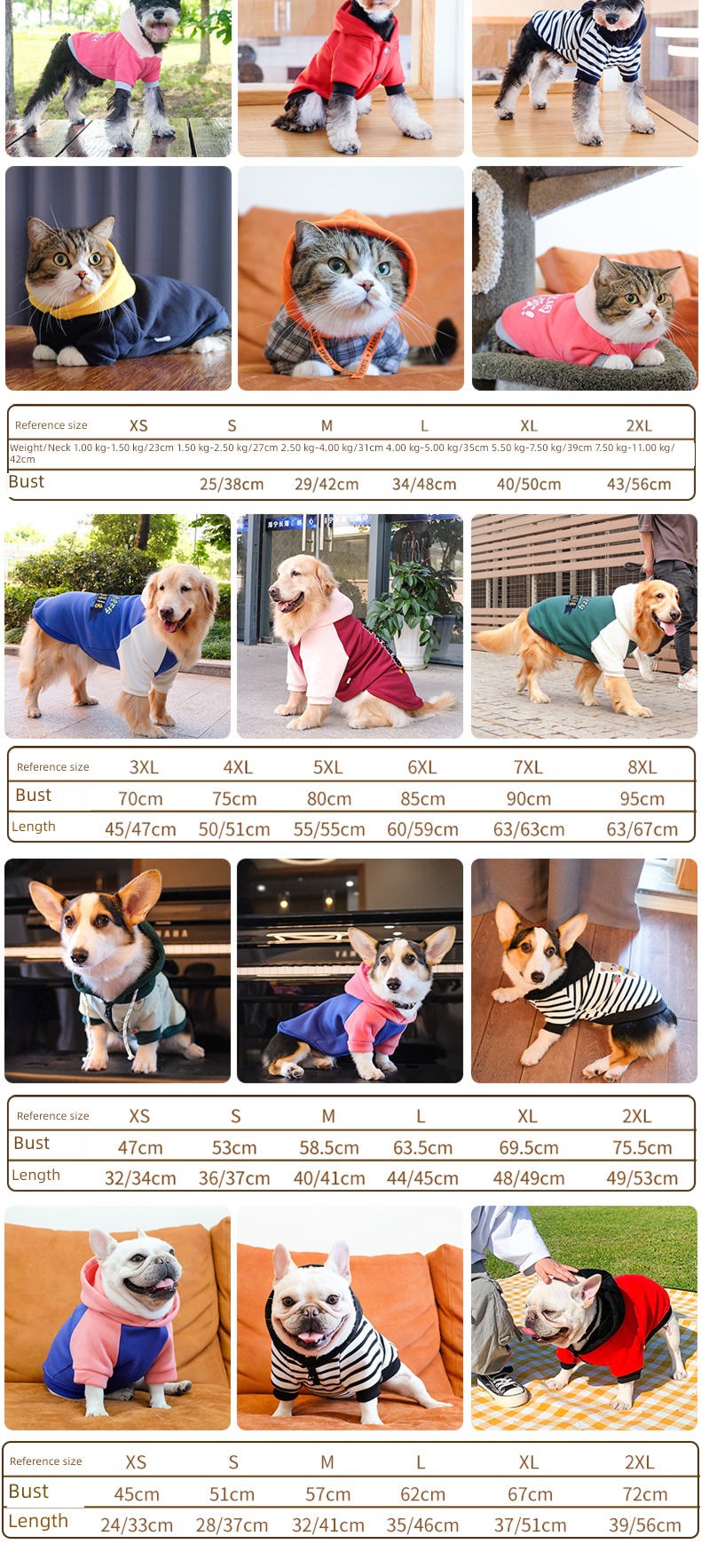 Four feet Pomeranian Chenery Miniature dog puppy poodle