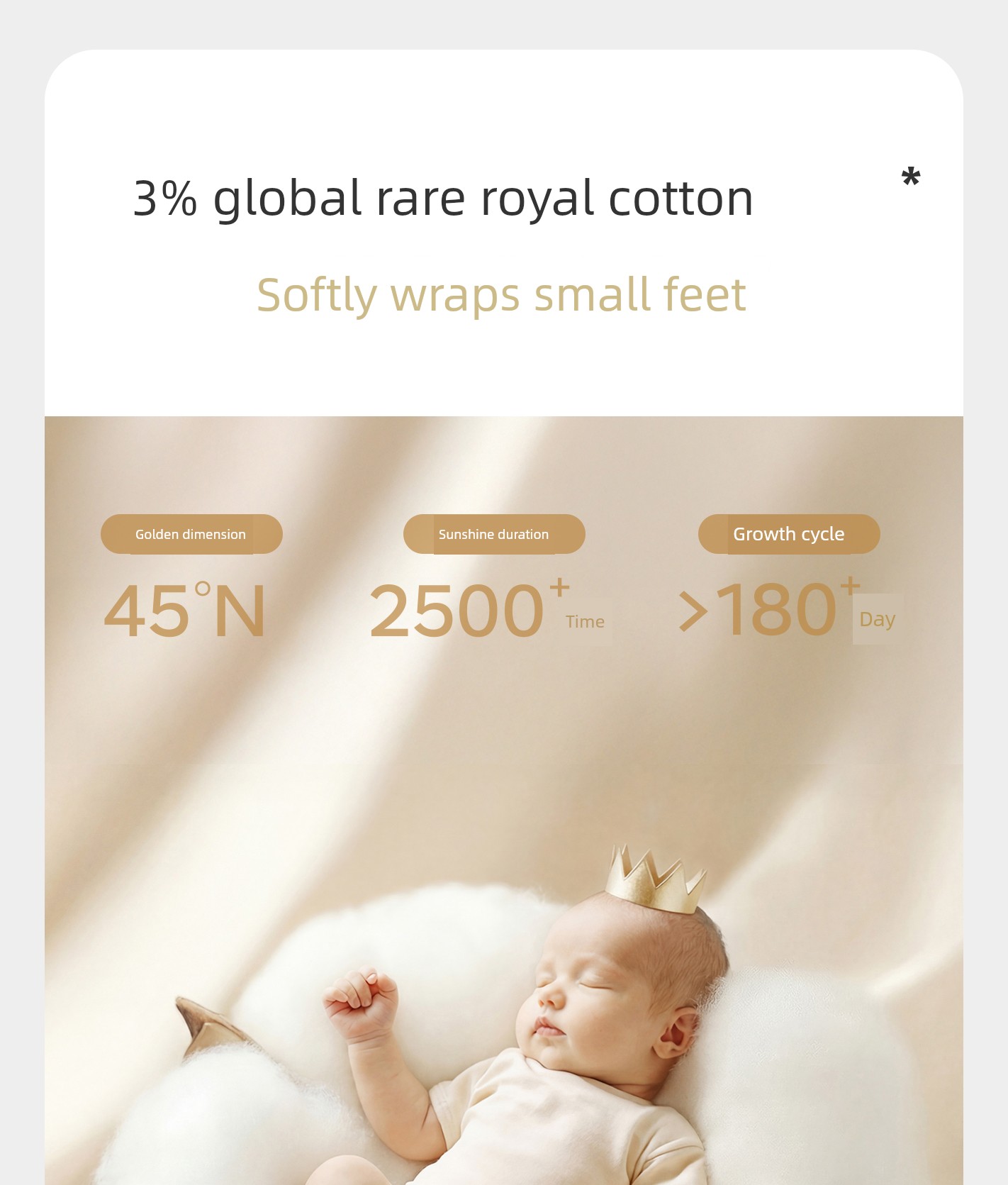 Babycare Spring & Fall Boys' Baby and Infant Socks — 7