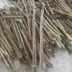 Naturally Dried Palm Leaves, Palm Leaves Woven into Butterflies, Grasshoppers and Other Animals, Palm Weaving Student Cr