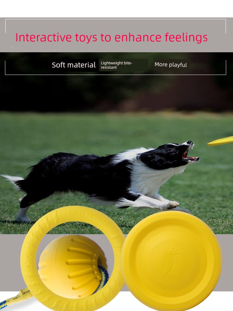 超耐咬狗狗互動球形玩具 圓環拉布拉多金毛耐咬紓壓