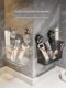 Suction cup chopstick storage box chopstick tube wall-mounted kitchen household high-end new drain chopstick cage chopstick tube chopstick tube