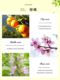 Medifi French Perfume Women's Long-lasting Eau de Perfume Leaves 72-hour Genuine Official Flagship Store Gift Box Pack