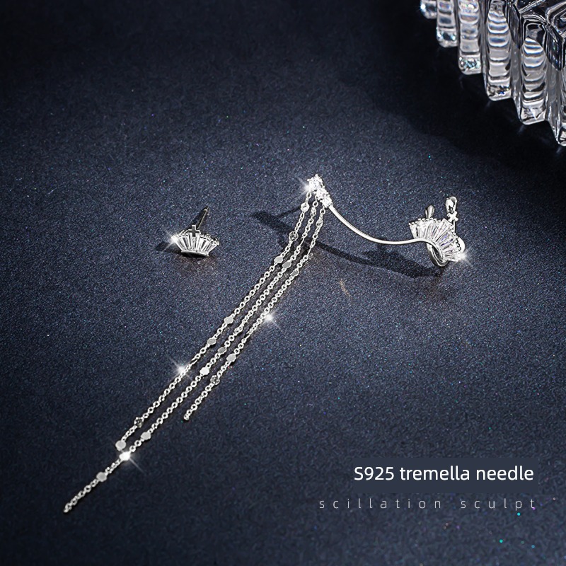 female Sterling Silver 2021 The new temperament tassels Earrings