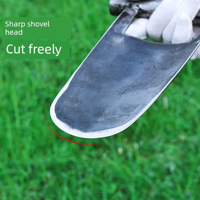 Scrapers and lotus roots shovels and bananas and sprouts and tree repairs and shovels and vegetables. Hand shovels and vegetable digging and planting tools for agricultural old iron shovels