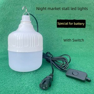 12V Battery Light 24v48v60v72v Electric Tricycle Night Market Stall with Switch Special LED Light Super Bright