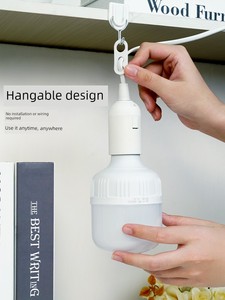 Led with Wire Plug For Home Thread Hanging Lamp Holder
