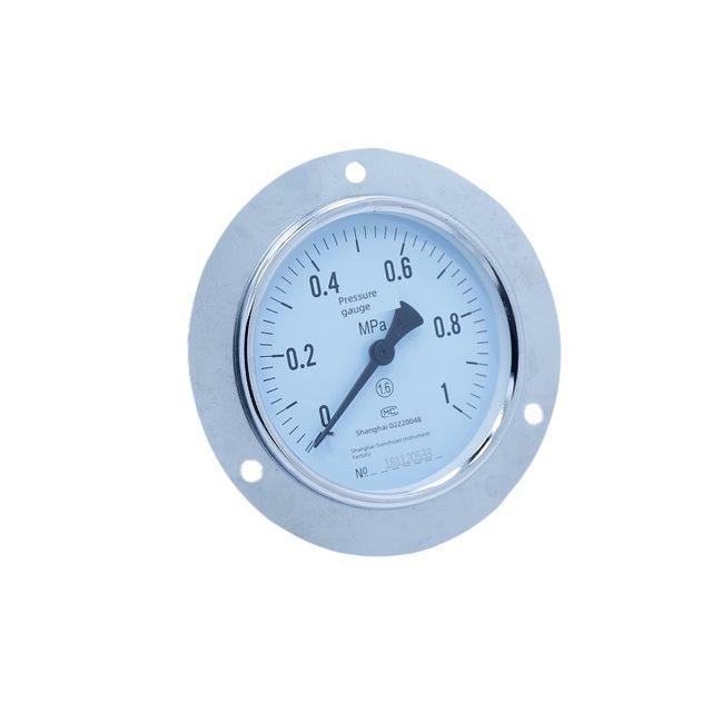 Ordinary axial side pressure gauge Y-100ZT axial sideless Shanghai Tianchuan Instrument Gas Storage Tank Pressure gauge