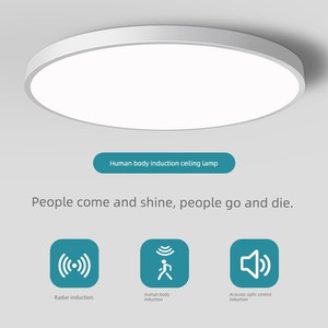 Sensor Corridor Infrared Radar Intelligent Ceiling Lamp