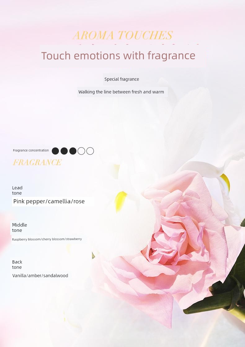 Iwiw Plant-Derived Camellia Shampoo Anti-Dandruff Oil Control Shower Gel Conditioner Fragrant and Fluffy A8 — 13