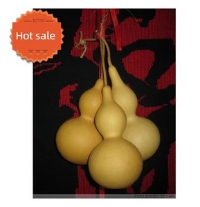 4-45cm Gourd of Various Sizes