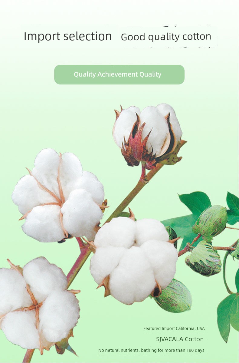 Genuine Goods DRAWSHE Argy Wormwood Chip Sanitary Napkin Package for Daily Use and Night Use Protection Mat Ultra-Thin Breathable Cotton Soft — 27