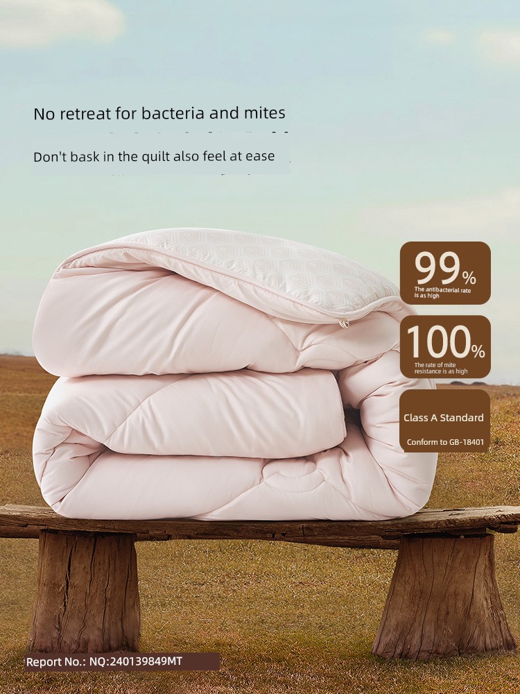 Mercury Home Textile Double Students Warm-Keeping Thickened Woolen Quilt