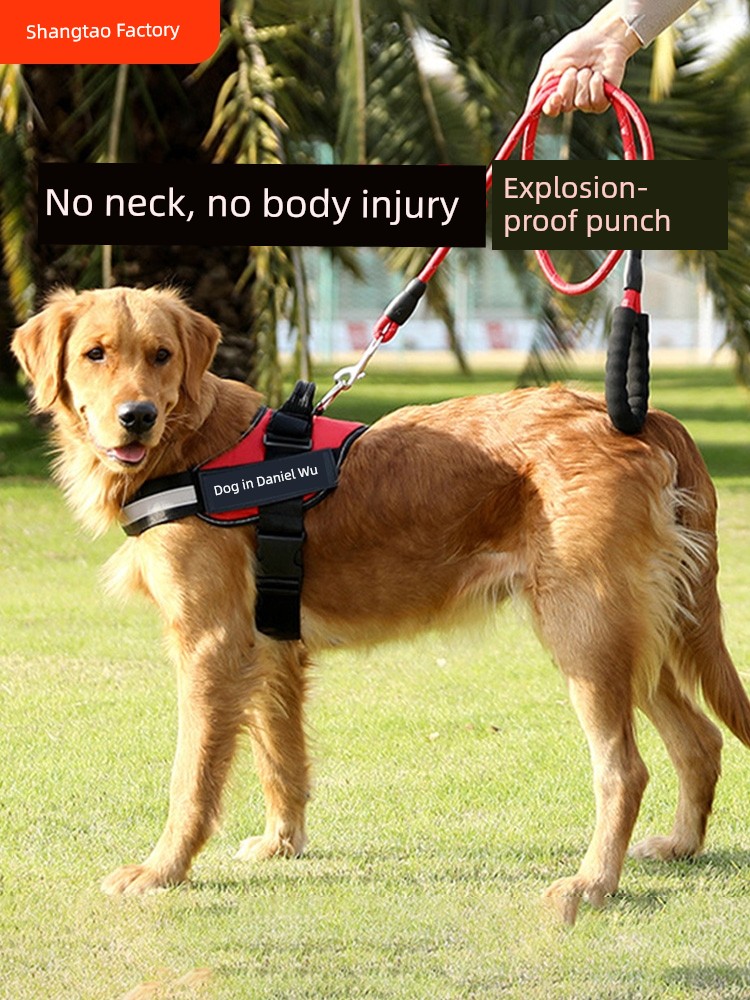 超舒適寵物胸背式牽引繩  15米加厚尼龍繩  可調節  適合小型大型犬