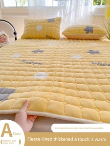 Milk Velvet Bed Sheet, Winter Fleece Single Piece, Autumn and Winter Coral Fleece Flannel Plush Thickened Quilt Cover Th