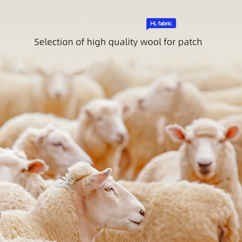 【 Pre 】 HLA / Home of Hailan Lamb wool wool kneepad Antifungal pants male Plush thickening kneepad winter Leggings