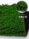 DIY Making simulated moss lawn turf sand tray building model material grassland scene micro landscape decoration