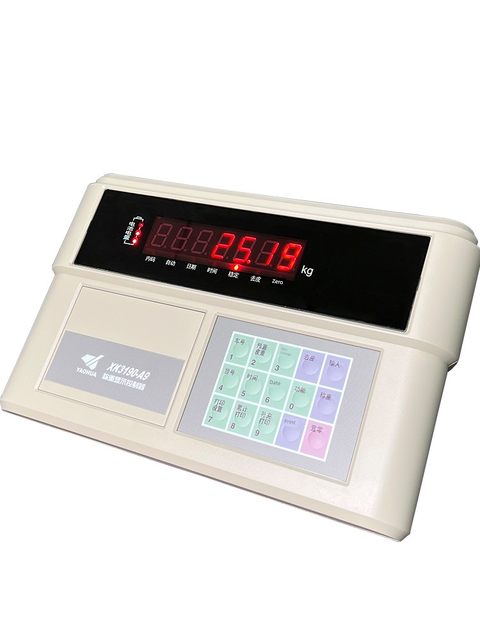 上海耀华XK3190-A9+P称重仪表地磅显示器地磅显示屏衡器100吨地磅