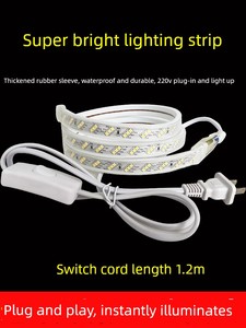 Outdoor Led Strip Light, Super Bright, Waterproof, 220V, Self-Adhesive Led Strip Light with Switch, Home Decoration, Liv