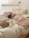 French striped bed sheet four-piece set wash quilt cover single student dormitory bed three-piece set part-of-all cotton pure cotton