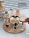 Perfume rack Household desktop cosmetic storage box Dressing table step tray Advanced skin care product storage rack