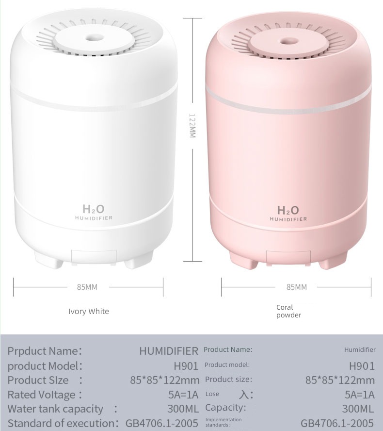 Xin if Asia schoolgirl gift Large spray amount Humidifier