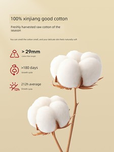 Red Bean Xinjiang Cotton Quilt, Winter Quilt, Thickened Cotton Quilt Core, Single-Person Quilt, Spring and Autumn Quilt,