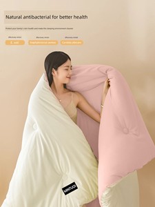 Quilt Core, Winter Quilt, Summer Cooling Quilt, All-Season Quilt, Spring and Autumn Quilt, Warm Air-Conditioning Quilt, 