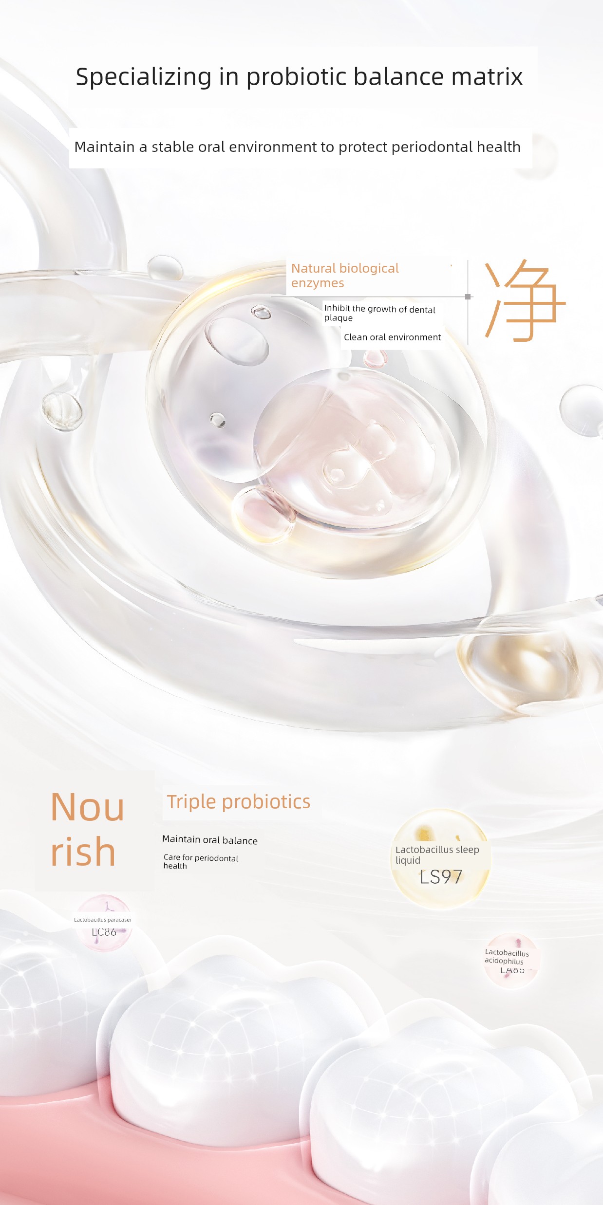 DDMOMMY Recommend Blueberry Fresh Orange Nursing Toothpaste — 8