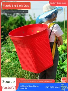 Plastic Back Baskets Extra Large Backpack Vegetables Basket Storage Basket Bamboo Woven Backpack For Home Adult Tea Pick