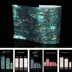 Shell Paper Soft Shell Can Be Bent 360 Degrees for Fishing Gear, Nail Art, Home Diy, New Zealand Abalone Black and White