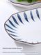 Fish plate 2 pack new household Japanese ceramic steamed fish plate plate dish dish plate rectangular fish plate high appearance
