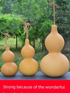 Natural Treasure Big Real Gourd Fortune Decoration Decoration Crafts Home Hallway Feng Shui Natural Bottle Gourd Hanging