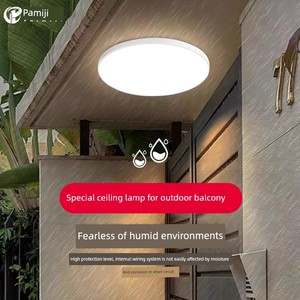 Outdoor Ceiling Light, Courtyard Eaves, Outdoor and Indoor Balcony Light, Rural Self-Built House Door Entrance Insect-Pr