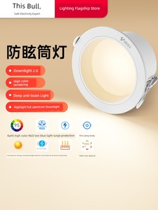 Bull Led Corridor Aisle Living Room Flagship Downlight