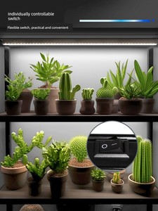 Barrina Plant Grow Light Indoor Sunlight Simulation Full Spectrum Magnetic Led Green Plant Growth Light