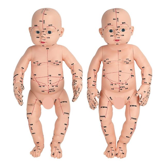 Baby mannequin model children doll mannequin model acupuncture and moxibustion traditional Chinese medicine acupoint pediatric massage simulation model