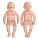 Baby mannequin model children doll mannequin model acupuncture and moxibustion traditional Chinese medicine acupoint pediatric massage simulation model